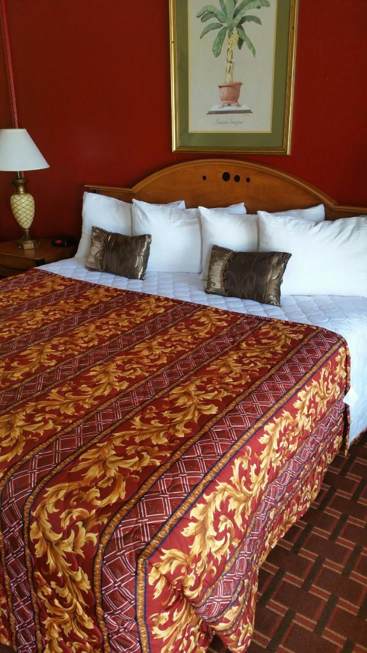 Palms Inn Dania Beach Dış mekan fotoğraf